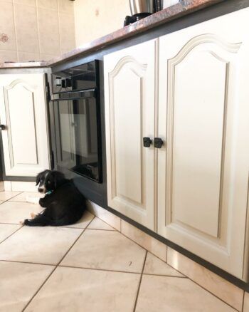 Meuble bas avec chien trop beau blanc et noir cuisine relooké